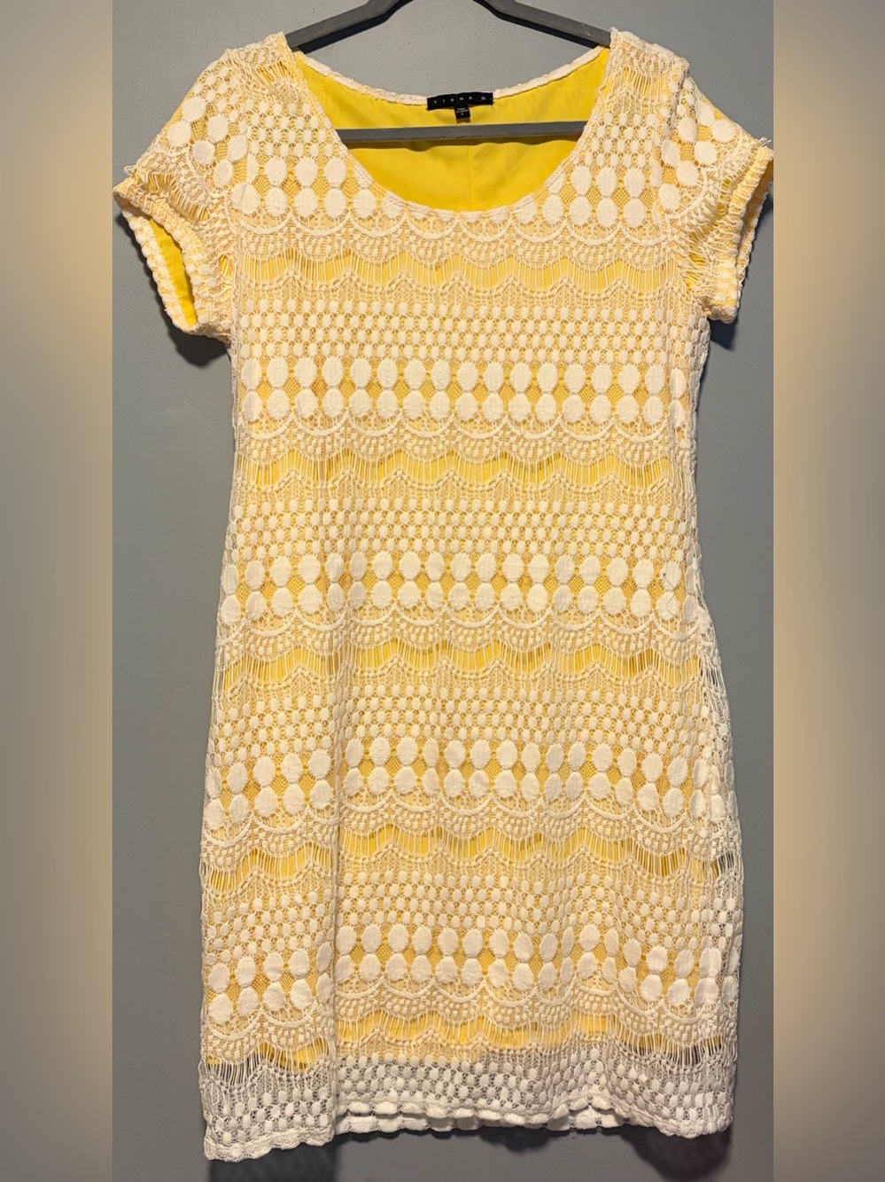 Tiana B. Yellow and White Crochet Overlay Dress